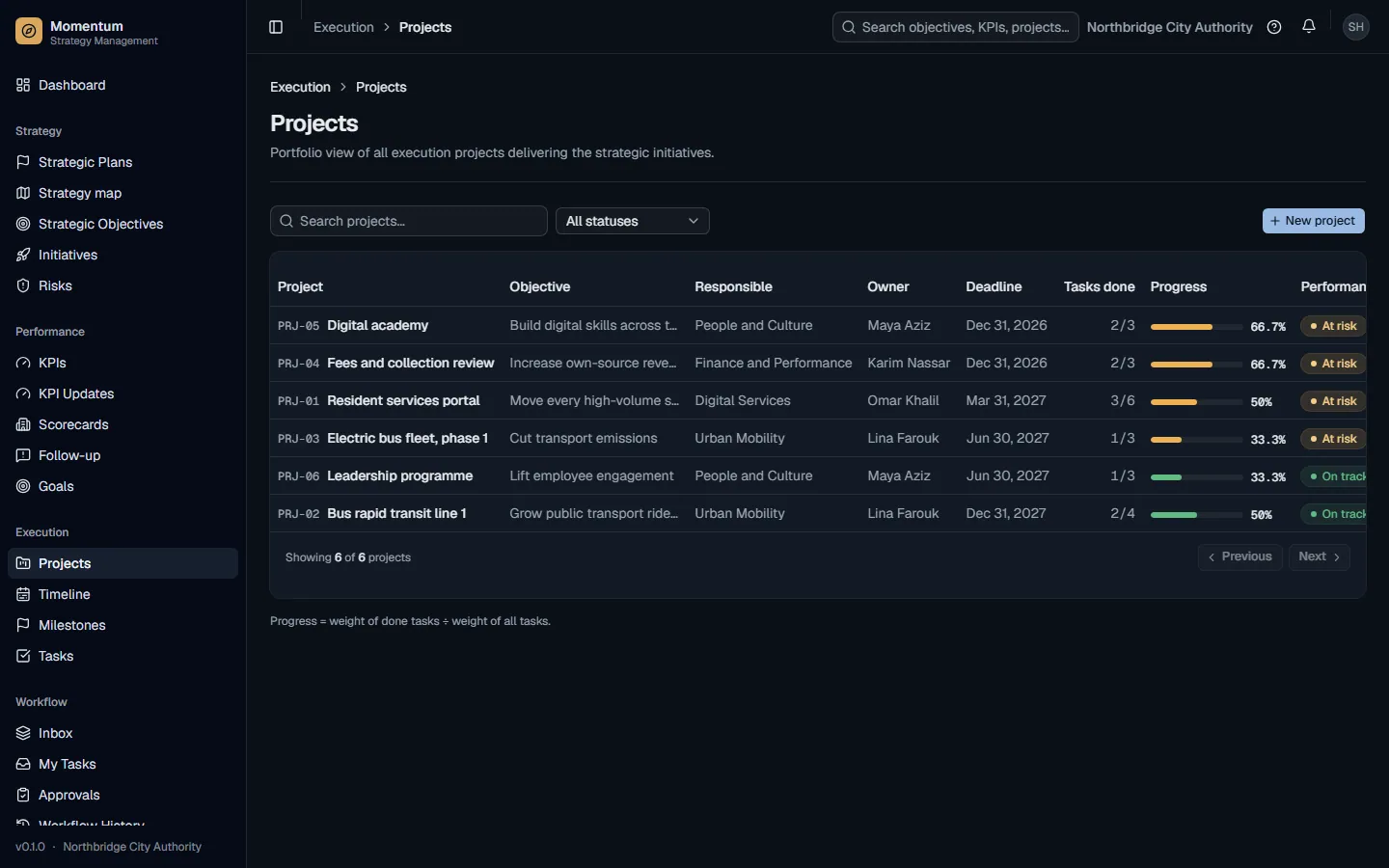 The project portfolio