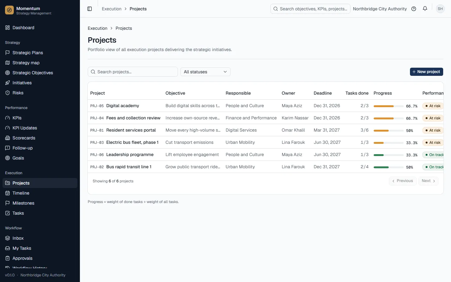 The project portfolio